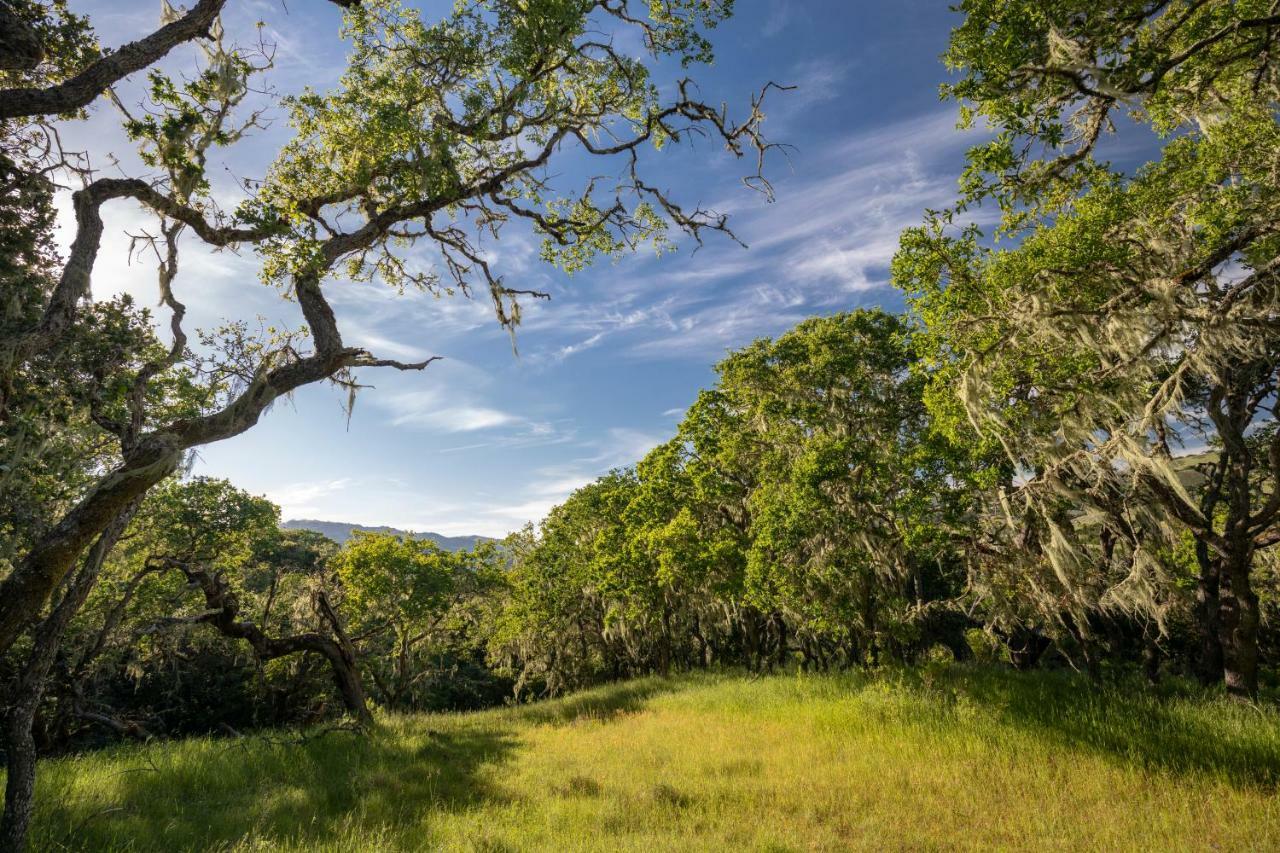 The Camp At Carmel Valley Esterno foto